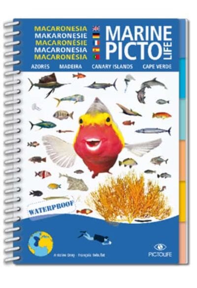 marine-pictolife-macronesie_1 Guide waterproof illustrant la biodiversité marine de Macaronésie, idéal pour les passionnés de plongée et d'exploration s...