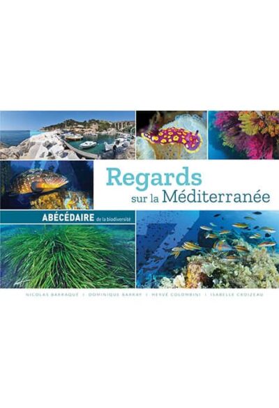 Explorez la richesse marine de la Méditerranée à travers des images captivantes de sa biodiversité sous-marine exceptionne...