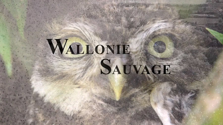 Wallonie Sauvage