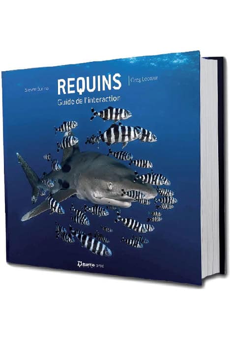 Explorez l'univers fascinant des requins avec ce guide d'interaction essentiel pour tout passionné de plongée. #Plongée