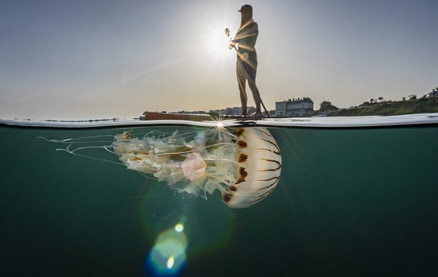 1101lewis Jefferies 900x570