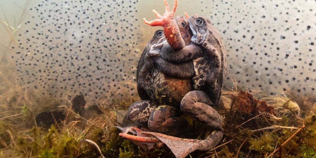 401pekkatuuri1 1 1024x512