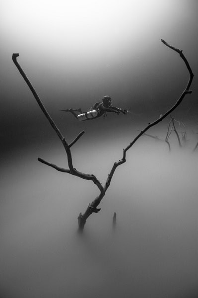 03 Damir Zurub Rsm3084bw2