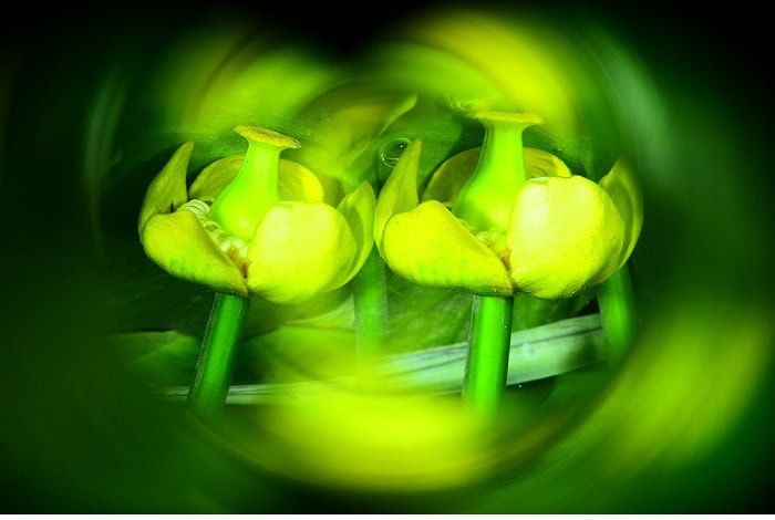 1 Se╠ubastien Ameeuw 1m 7815