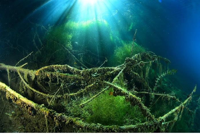 2 Jean Raphael Tordoir 6a2 2699