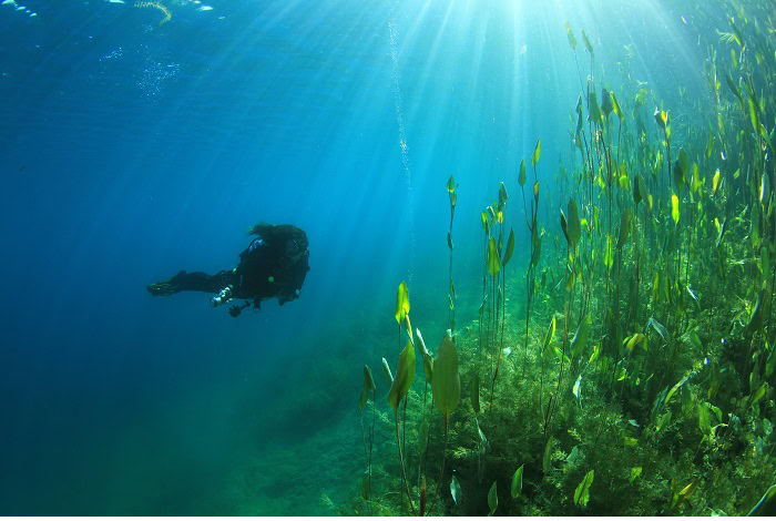 3 Daniel Beaureperre 5a1 9326