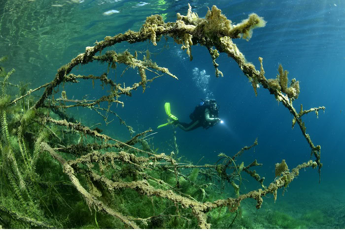 6 Ve╠uronique Wu╠ermli Baudot 5a1 3631