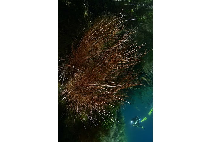 6 Ve╠uronique Wu╠ermli Baudot 6a2 3674