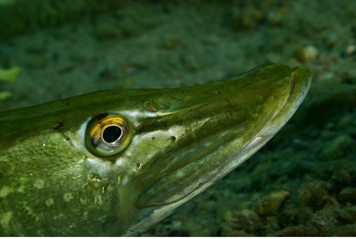 7 Thierry Briand 2p 0103