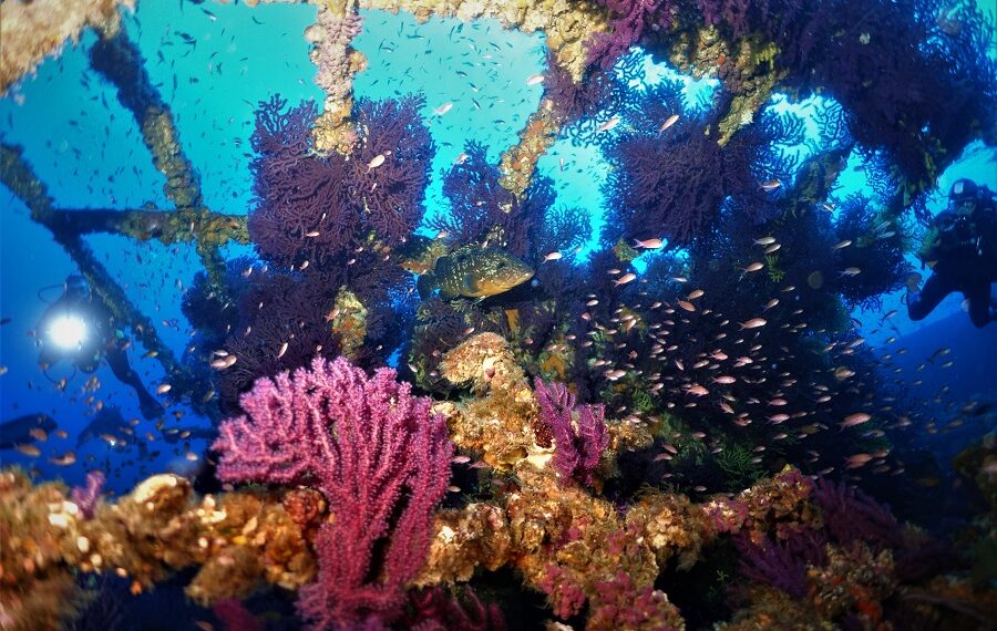 3eme Prix Ambiance Espoircourtinpatricele Grec 900x570