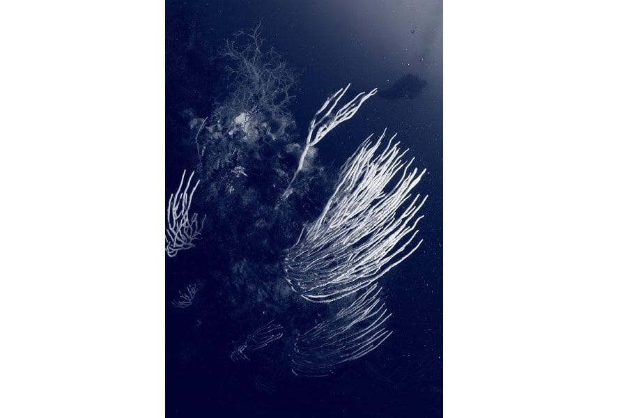 12 Langlois 08 3th 0036