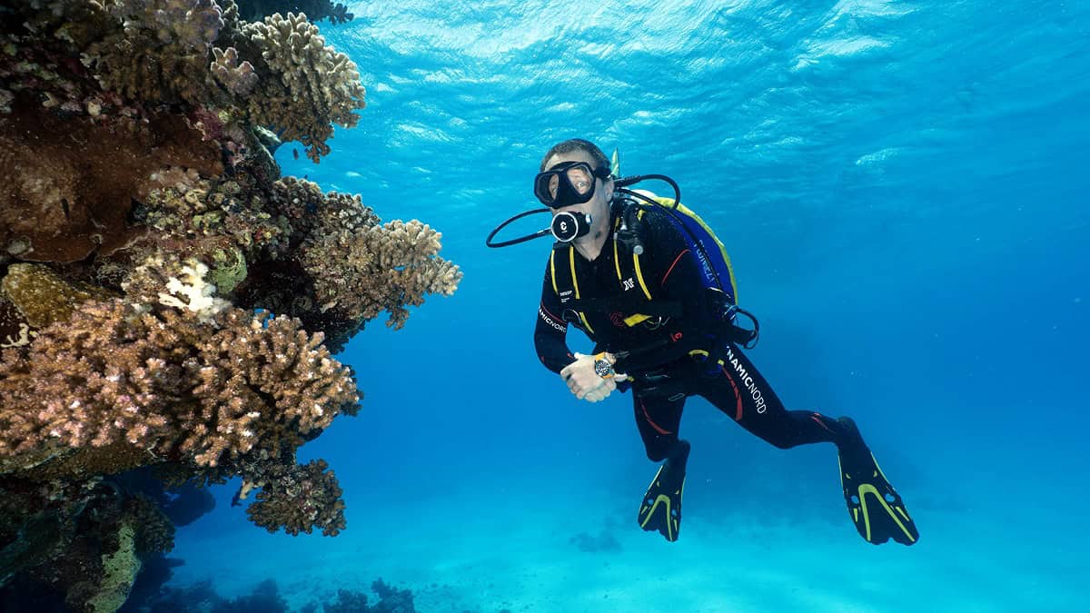 Un plongeur explore un récif corallien vibrant, illustrant la beauté sous-marine et l'importance de la conservation océani...