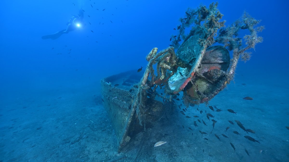 Plongée sous-marine explorant une épave, riche en vie marine et coraux colorés.