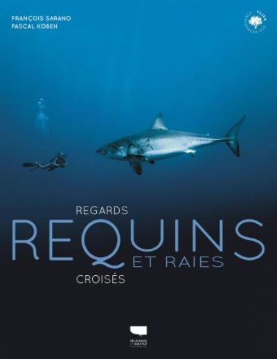 Un plongeur explore les profondeurs marines aux côtés d'un majestueux requin, symbolisant l'harmonie océanique. #Plongée