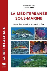 Explorez la biodiversité fascinante de la Méditerranée avec ce guide illustré pour plongeurs et passionnés de l'environnem...