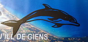 Un dauphin stylisé survole la côte ensoleillée de la presqu'île de Giens, invitant à l'exploration sous-marine. 🌊