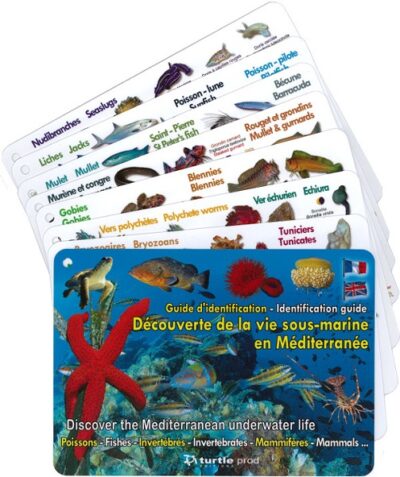 9782919322367v-525 Guide pratique pour identifier la faune marine méditerranéenne, essentiel pour les passionnés de plongée et d'exploration ...