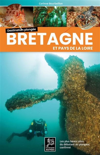 Explorez les épaves fascinantes de Bretagne, un paradis pour plongeurs avides d'aventure sous-marine. #Plongée