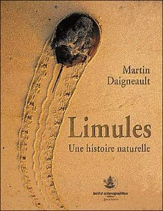 Sur le sable, une limule laisse sa trace, illustrant la richesse de la biodiversité marine et l'importance de sa préservat...