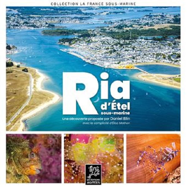 Explorez la biodiversité fascinante de la Ria d'Étel, un joyau marin breton idéal pour les passionnés de plongée.