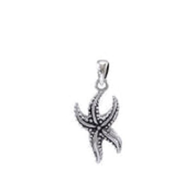 Pendentif étoile de mer argentée, symbole élégant de l'océan, parfait pour les passionnés de plongée et d'aventure marine.
