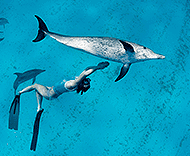 Apprendre Apnee Randonee Palmee Snorkeling