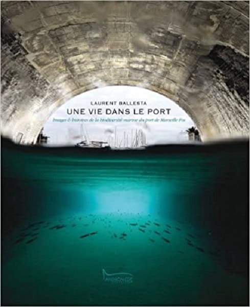Sous un tunnel marin, des poissons nagent paisiblement, illustrant la biodiversité cachée des ports méditerranéens. #Biodi...