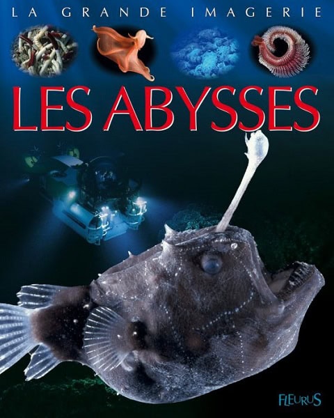 Explorez les mystères des abysses avec ce poisson des profondeurs, emblème fascinant de la biodiversité marine.