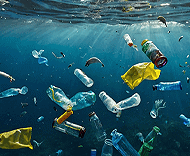 Protection Environnement Plongee