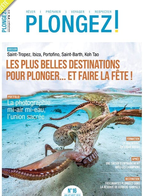 Découvrez les destinations incontournables pour allier plongée et festivités, avec un focus sur la photographie mi-air mi-...