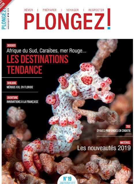 Explorez les destinations tendance de plongée, de l'Afrique du Sud à la mer Rouge, pour des aventures sous-marines inoubli...