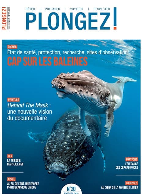 Explorez le monde fascinant des baleines avec des insights sur leur santé et leur protection dans ce numéro captivant de P...