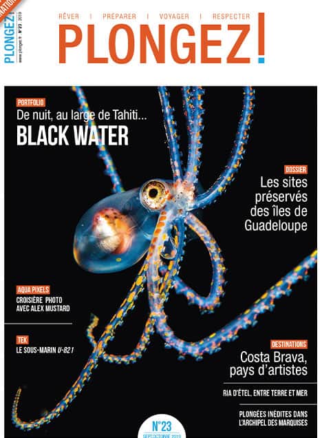 Plongez dans les mystères nocturnes de Tahiti avec "Black Water", une aventure captivante pour les passionnés de plongée.