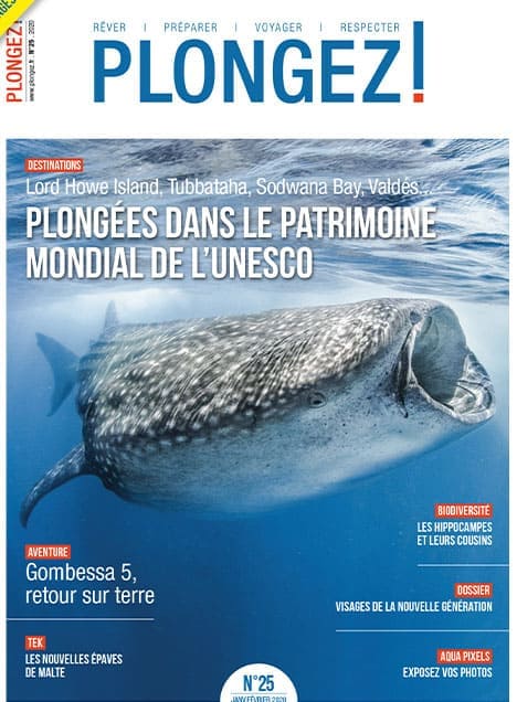 Explorez les merveilles sous-marines de l'UNESCO avec des plongées inoubliables au cœur de la biodiversité océanique.
