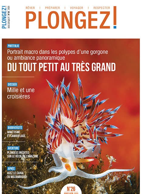 Explorez la biodiversité marine avec un focus sur le mimétisme et le camouflage dans ce numéro captivant de Plongez!