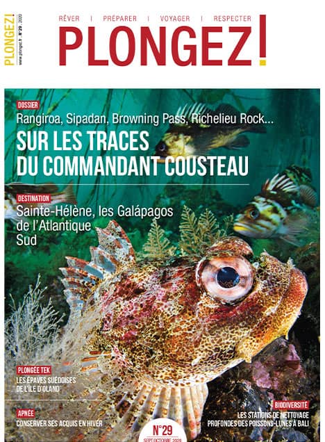 Explorez les mystères sous-marins de Sainte-Hélène, un paradis pour les passionnés de plongée et d'aventure marine.