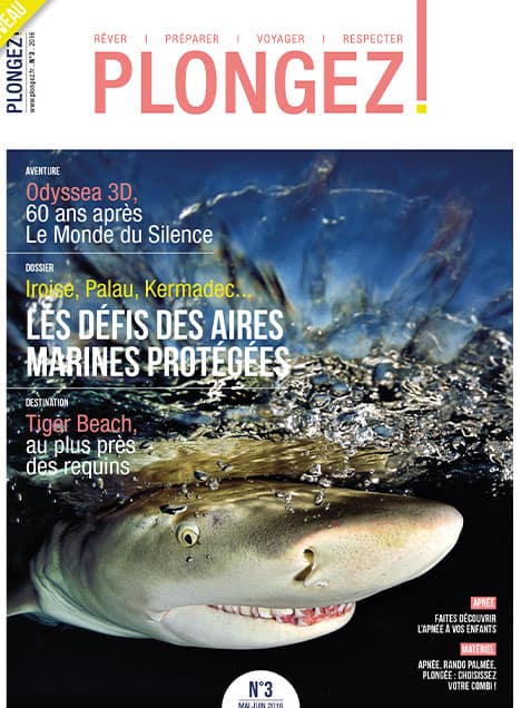Plongez au cœur des défis des aires marines protégées avec un focus captivant sur Tiger Beach et ses majestueux requins.