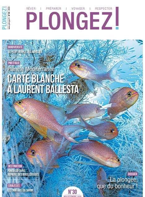 Explorez la biodiversité marine méditerranéenne avec Laurent Ballesta, où la plongée révèle des trésors sous-marins fascin...