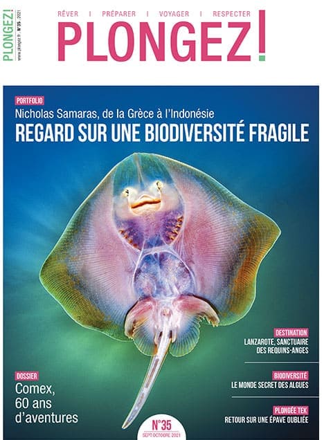 Explorez la biodiversité marine fragile à travers l'objectif de Nicholas Samaras, de la Grèce à l'Indonésie. #Biodiversité