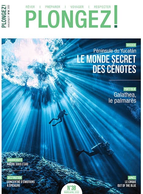 Explorez le monde secret des cénotes du Yucatán, un paradis sous-marin fascinant pour les passionnés de plongée.