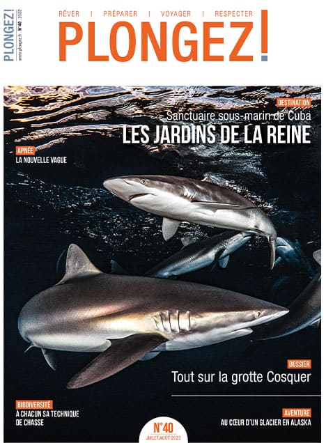 Découvrez les merveilles marines des Jardins de la Reine à Cuba, un sanctuaire fascinant pour les passionnés de plongée.