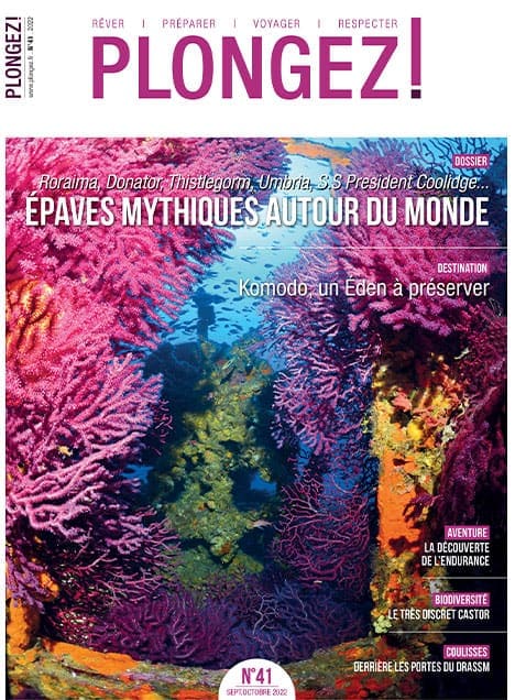Plongée dans les récifs colorés de Komodo, un paradis sous-marin à préserver, riche en biodiversité et en aventures inoubl...