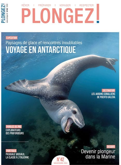 Explorez les merveilles glacées de l'Antarctique avec des rencontres marines fascinantes, un voyage inoubliable. #Expédition