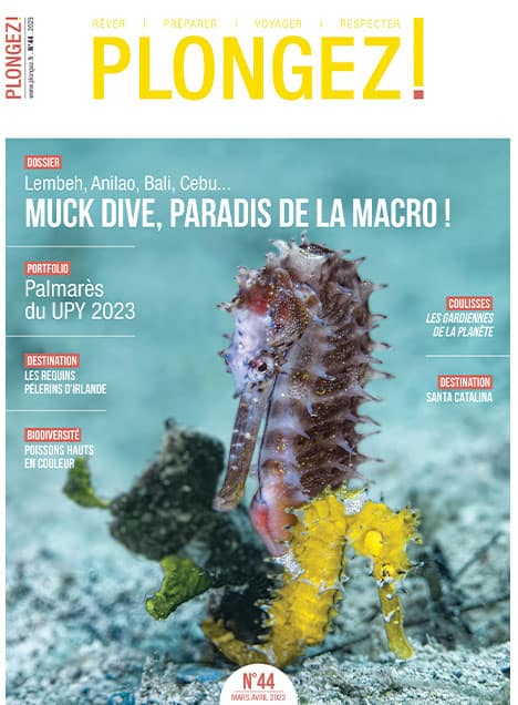 Explorez les merveilles du muck diving, un paradis pour les passionnés de macro-photographie sous-marine.