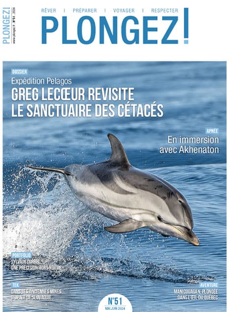 Un dauphin bondit gracieusement hors de l'eau, illustrant la beauté du sanctuaire marin exploré dans ce numéro de Plongez!