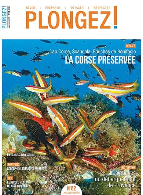 Explorez la biodiversité marine préservée de Corse avec ses récifs colorés et poissons multicolores, un paradis pour les p...