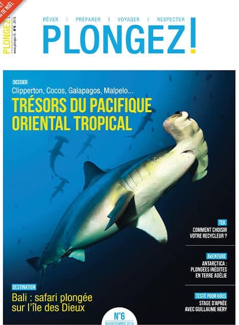 Plongez dans les eaux fascinantes du Pacifique oriental tropical, où les requins-marteaux offrent un spectacle inoubliable.