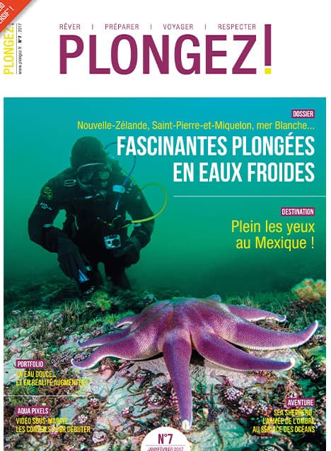 Plongez dans les eaux froides fascinantes avec ce numéro, explorant la biodiversité marine unique des destinations glaciales.