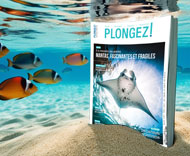 Plongez Magazine