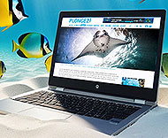 Plongez Web Mag